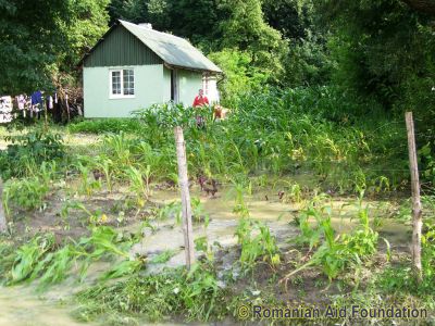 Elena Cazaciuc's house was secure but her crops were destroyed.
Keywords: Jun10;Flood2010;Fam-Horlaceni;