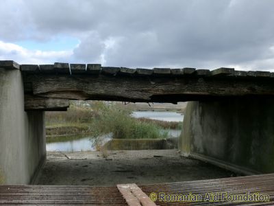 The dyke bridge (drought)
Keywords: Oct11;Scenes;Tataraseni