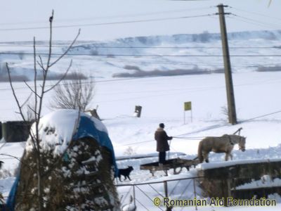 Keywords: Feb12;Fam-Tataraseni;Scenes;Winter
