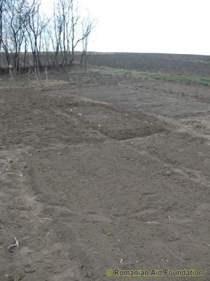 Soil preparation at Iezer.
Keywords: Apr12;Fam-Iezer