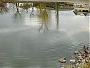 Filename=CIMG0425sw.jpg
Filesize=117KiB
Dimensions=1024x768
Date added=08/Dec/2012 CIMG0425sw.jpg