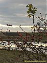 Filename=CIMG0428sw.jpg
Filesize=154KiB
Dimensions=768x1024
Date added=08/Dec/2012 CIMG0428sw.jpg