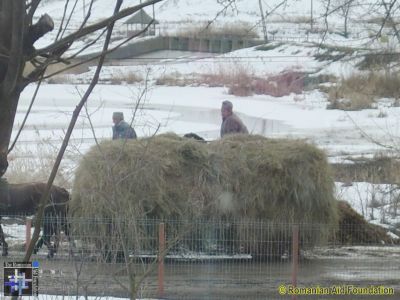 Meals on Wheels
Horse-drawn carts are still a major means of transport in rural areas. This load of fodder was cut and stored in the autumn, and is used to feed animals kept indoors over the winter.
Keywords: Feb13;Scenes;GChoice1303m12