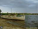 Filename=CIMG1424sw.jpg
Filesize=95KiB
Dimensions=1024x768
Date added=13/May/2013 CIMG1424sw.jpg