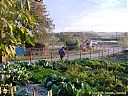 Filename=CIMG3866sw.jpg
Filesize=263KiB
Dimensions=1024x768
Date added=08/Oct/2013 CIMG3866sw.jpg