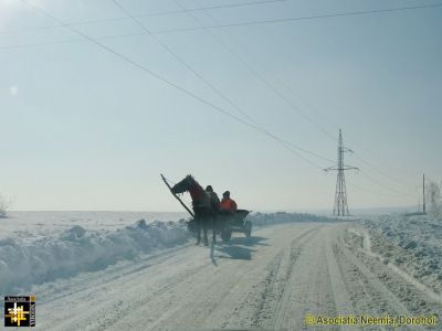 It may have only 1hp but it has got 4-limb drive
Horse-drawn carts are a common site in rural areas of Romania. Properly shod horses have better traction than most conventional tyres.
Keywords: Feb13;Pub1402f;Travel;Scenes