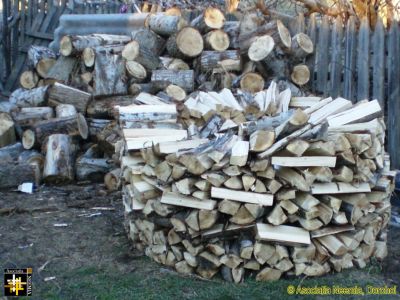 Donated Wood
Keywords: Dec15;wood;Fam-Horlaceni