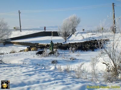 Winter Scene
Keywords: Jan16;Scenes