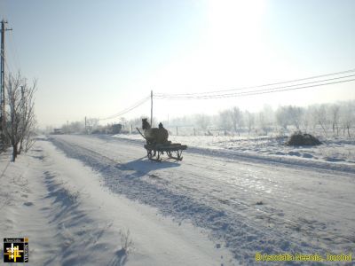 Winter Scene
Keywords: Jan16;Scenes