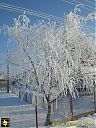 Filename=CIMG0050sw.jpg
Filesize=237KiB
Dimensions=768x1024
Date added=14/Jan/2016 CIMG0050sw.jpg