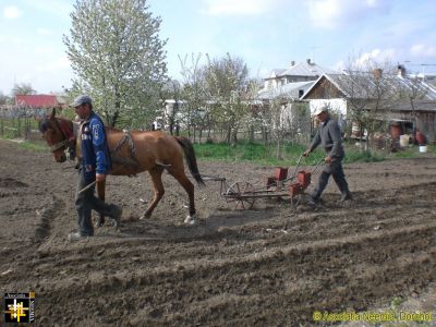 Appropriate Technology
The horse-drawn seed-drill is ideal in urban smallholdings and smaller rural plots.
Keywords: Apr16;Crops