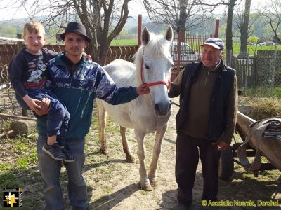Sponsored Horse
A supporter donated money for the purchase of a new horse for a rural family.
Keywords: apr17;