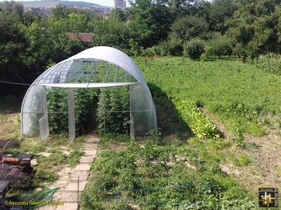 Casa Neemia - Polytunnel
Fresh vegetables for the residents and a surplus for donation.
Keywords: jul18;Casa.Neemia;pub1808a