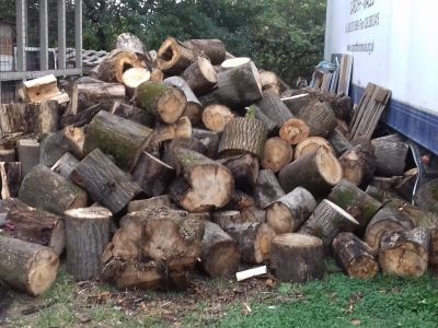 Firewood
About 95% of rural households and 25% of schools are heated by wood.
Keywords: sep20;pub2010o;firewood