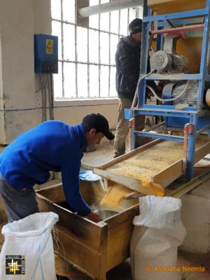 Milling flour
Maize from the warehouse field is milled into flour, then donated to households.
Keywords: may21