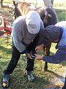 Filename=IMG_1126-sw.jpg
Filesize=344KiB
Dimensions=768x1024
Date added=07/Oct/2021 IMG_1126-sw.jpg