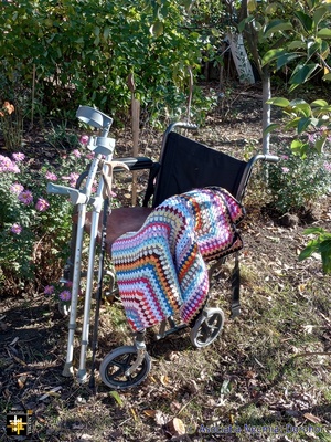 Mobility Aids
Wheelchair, crutches, walking stick, cushion and a blanket; help for those with mobility difficulties 
Keywords: nov23;Mobility;pub2311n
