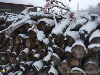 The Time has Come
Winter has arrived, time to get chopping
Keywords: nov23;firewood;pub2312d