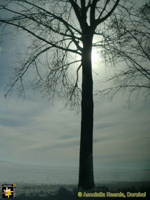 Winter Silhouette
Keywords: Feb14;Scenery