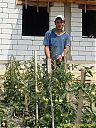 Filename=Smsung351s.jpg
Filesize=202KiB
Dimensions=768x1024
Date added=19/Aug/2015 Smsung351s.jpg