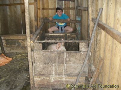 Keywords: May10;Fam-Horlaceni;Fam-Horlaceni