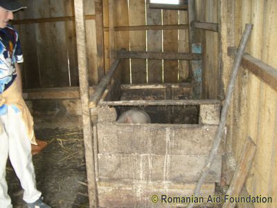 Keywords: May10;Fam-Horlaceni;Fam-Horlaceni