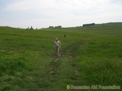 Keywords: May10;Fam-Horlaceni;