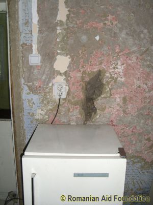 Keywords: May10;Fam-Dorohoi;Fam-Dorohoi