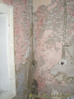 Keywords: May10;Fam-Dorohoi;Fam-Dorohoi