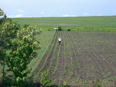 Land at Dealu Mare
Keywords: May10;Warehouses;Dealu.Mare