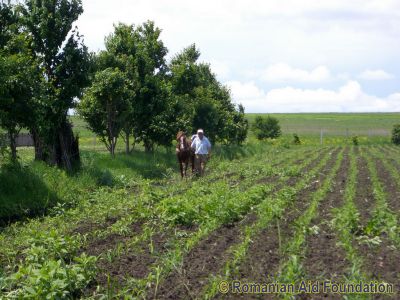 Land at Dealu Mare
Keywords: May10;Warehouses;Dealu.Mare