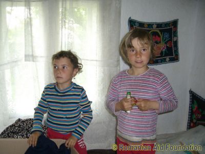 Keywords: May10;Fam-Horlaceni;