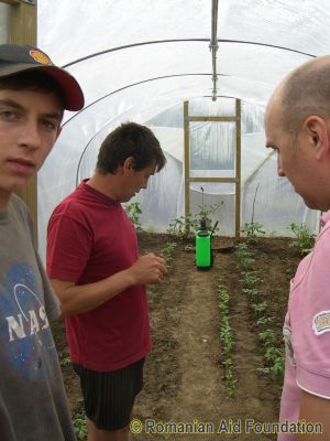 Seeds donated from UK
Keywords: May10;Fam-Iezer;seeds