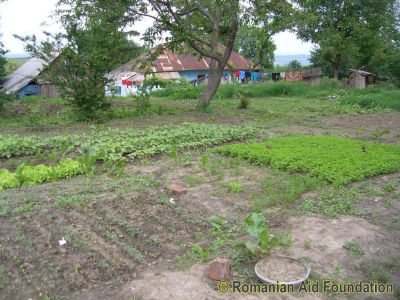 Keywords: May10;Fam-Iezer