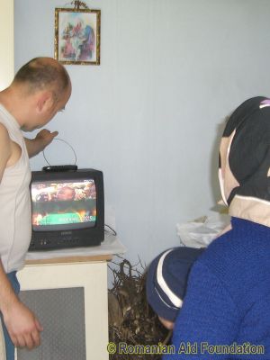 Keywords: Jun10;Fam-Horlaceni;