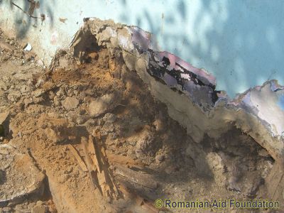 Keywords: Jun10;Fam-Iezer;Fam-Iezer;Iezer