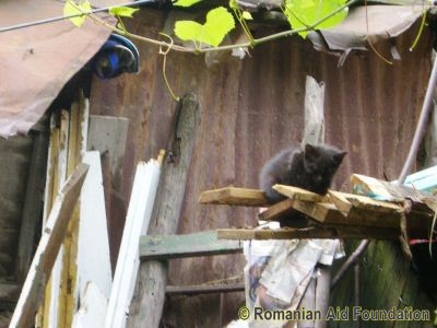 Keywords: Jun10;Flood2010;Dorohoi