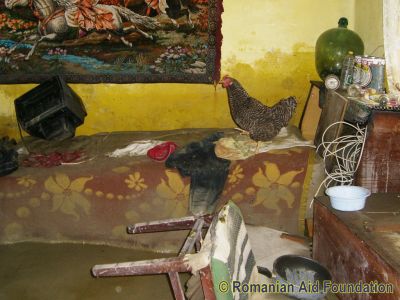 Dorohoi Flood, June 2010
Keywords: Jun10;Flood2010;Dorohoi