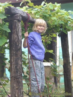 Keywords: Jun10;Flood2010;Dorohoi;Fam-Dorohoi