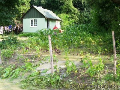 Elena Cazaciuc's house was secure but her crops were destroyed.
Keywords: Jun10;Flood2010;Fam-Horlaceni;