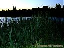 Filename=CIMG2475sw.jpg
Filesize=182KiB
Dimensions=1024x768
Date added=31/Dec/2011 CIMG2475sw.jpg