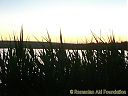 Filename=CIMG2476sw.jpg
Filesize=111KiB
Dimensions=1024x768
Date added=31/Dec/2011 CIMG2476sw.jpg