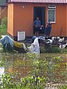 Filename=CIMG2818sw.jpg
Filesize=248KiB
Dimensions=768x1024
Date added=31/Dec/2011 CIMG2818sw.jpg