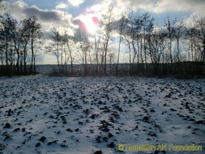 Keywords: Dec10;Fam-Iezer;Fam-Iezer