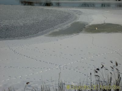 Keywords: Jan11;Tataraseni;Scenery