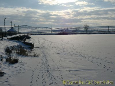 Keywords: Jan11;Tataraseni;Scenery