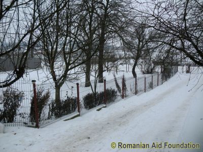 Keywords: Jan11;Fam-Tataraseni;Pricopi.L