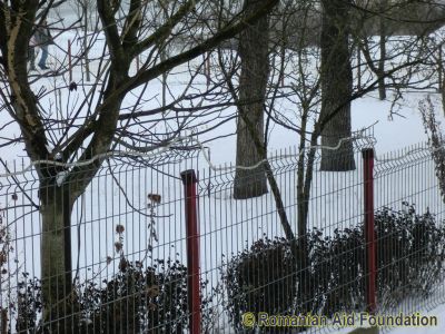 Keywords: Jan11;Fam-Tataraseni;Pricopi.L