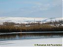 Filename=CIMG3709sw.jpg
Filesize=114KiB
Dimensions=1024x768
Date added=03/Jan/2012 CIMG3709sw.jpg