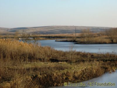 Lake at Tataraseni
Keywords: Jan12;Scenery;Tataraseni